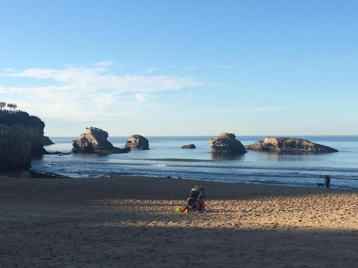 L'Ocean A Perte De Vue, La Grande Plage A Vos Pieds بياريتز المظهر الخارجي الصورة